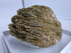 Chalkopyrit auf Baryt 0,055 kg +/- 4x3x2 cm