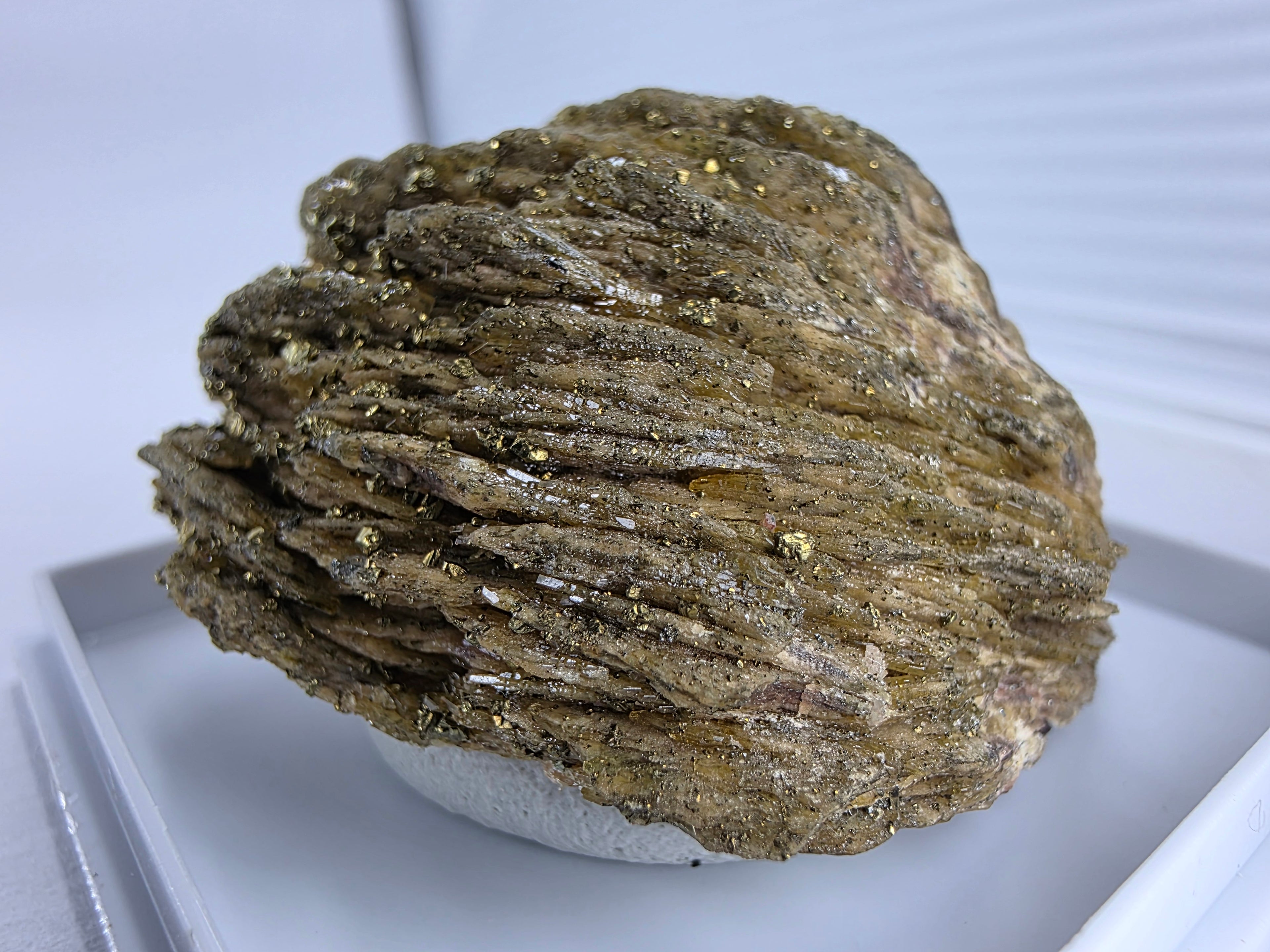 Chalkopyrit auf Baryt 0,055 kg +/- 4x3x2 cm